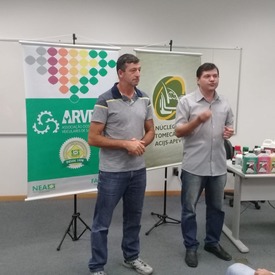 Jaragu%25c3%25a1%2520do%2520sul%2520%25286%2529